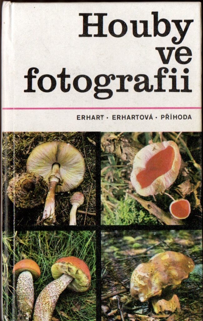Houby ve fotografii