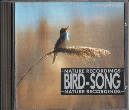 KLAUS BACK & TINI BEIER - Bird-Song