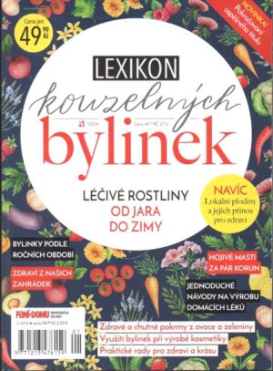 Lexikon kouzelných bylinek - Léčivé rostliny od jara do zimy